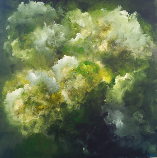 Hydrangea